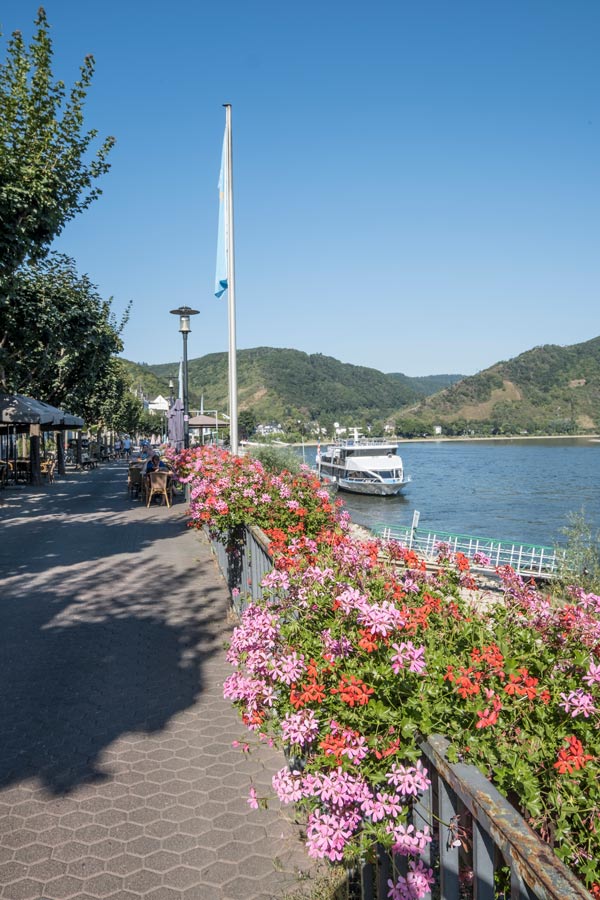 riverfront promenade decked with red and pink flowers