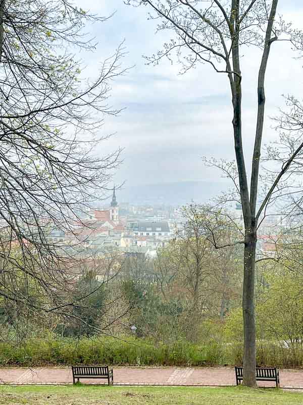 empty benches in a park overlooking the city of brno