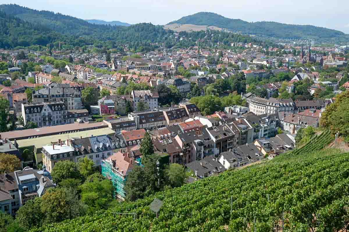 panoramic view of freiburg im breisgau germany with vineyard in foreground