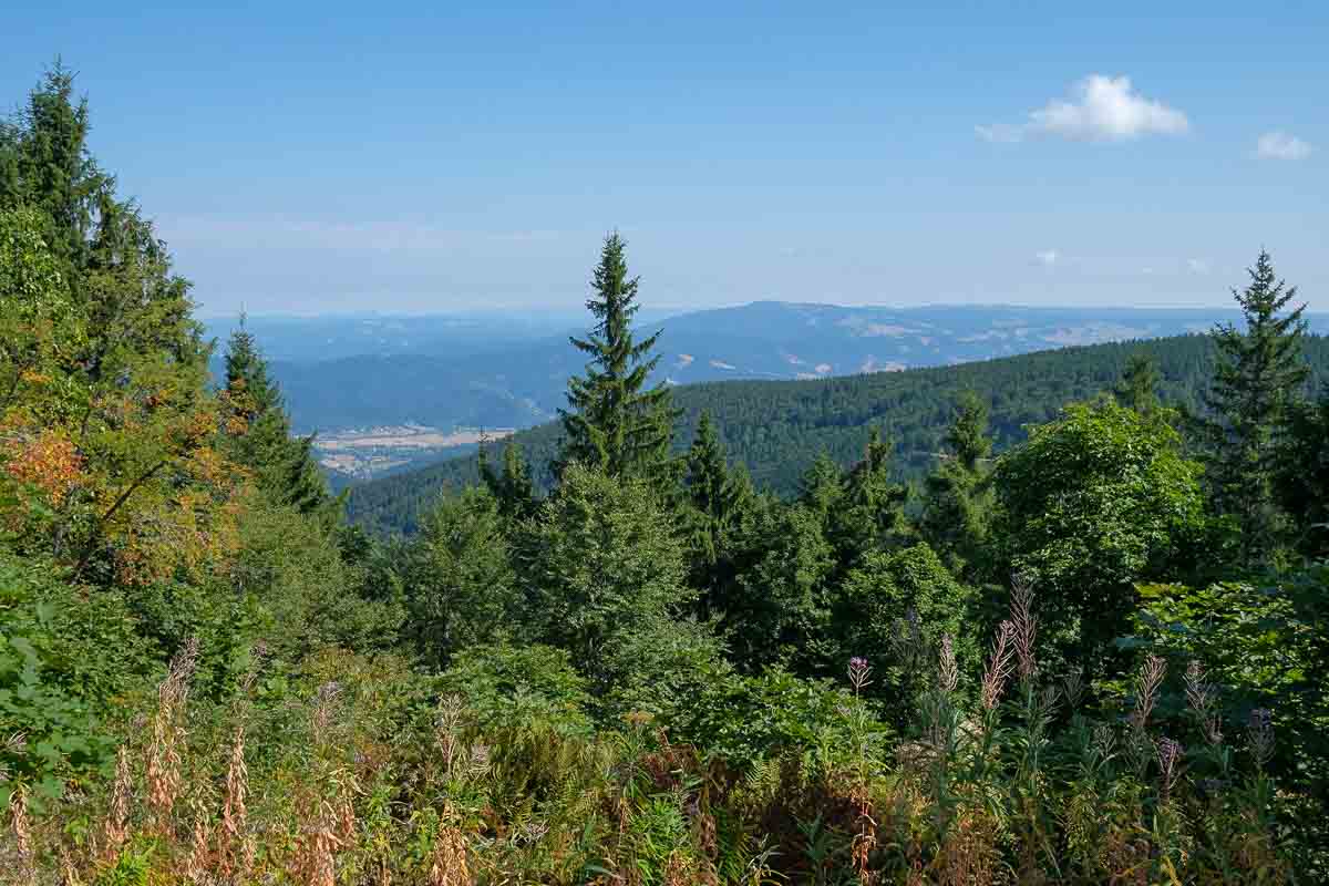 panoramic view of forested hillsides in the black forest germany