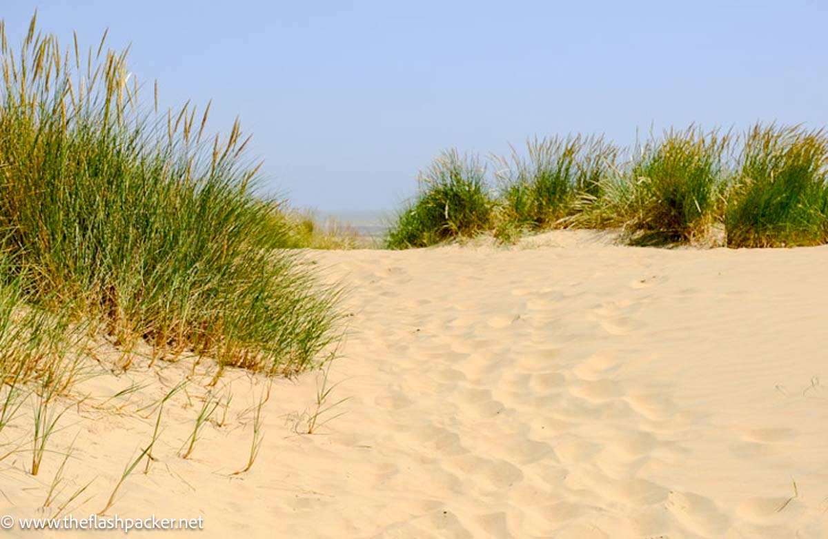 Dunes at Camber Sands