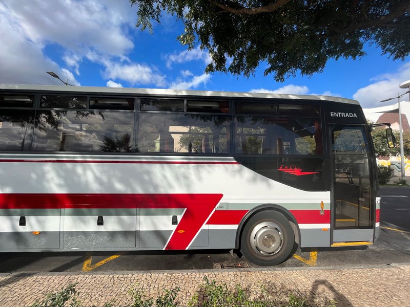 white red and grey bus in madeira