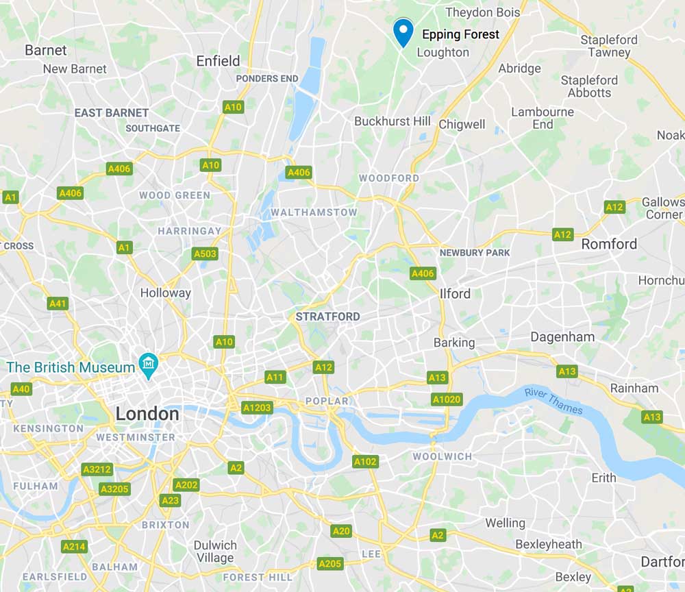map showing location of epping forest