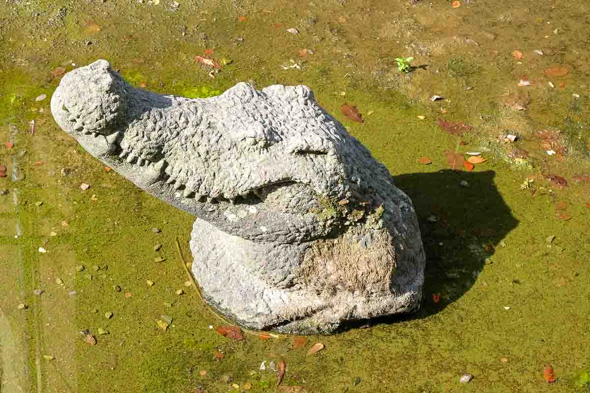 head of a stone crocodile