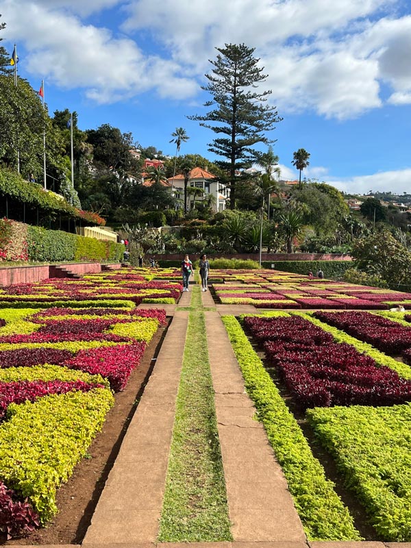 formal garden laid out with geometric patteren of purple and green foliage