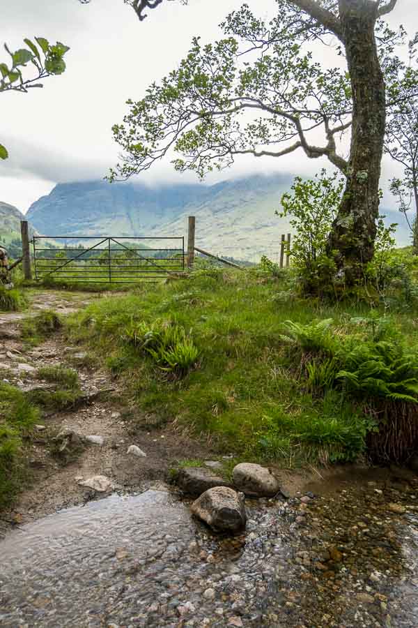 stream leading to metal gate in mountain valley
