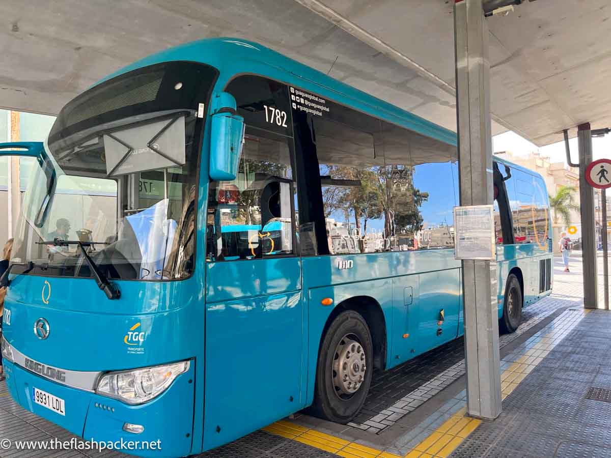 Exploring Gran Canaria by Bus: How to Ace Public Transport! 1 blue gran canaria bus