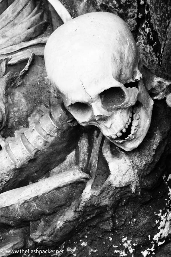 human skull and bones