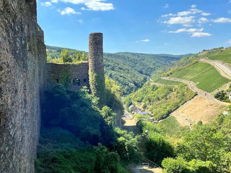steep terraced vineyards and the side of Rheinfels Castle with tower