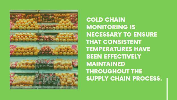 The vital role of cold chain monitoring
