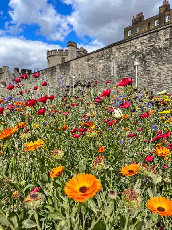 tower of london